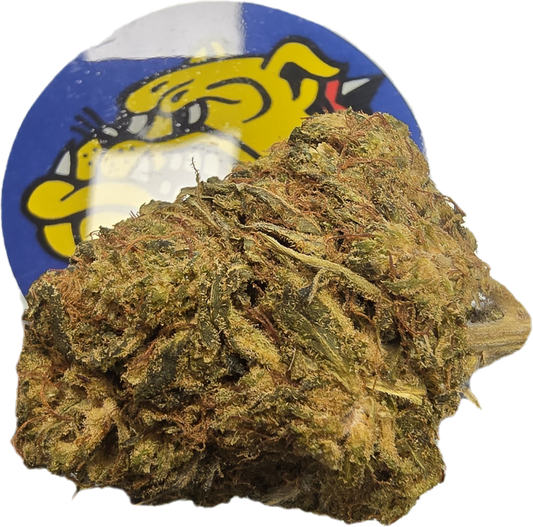 Fleur CBD Mango - vue rapprochée