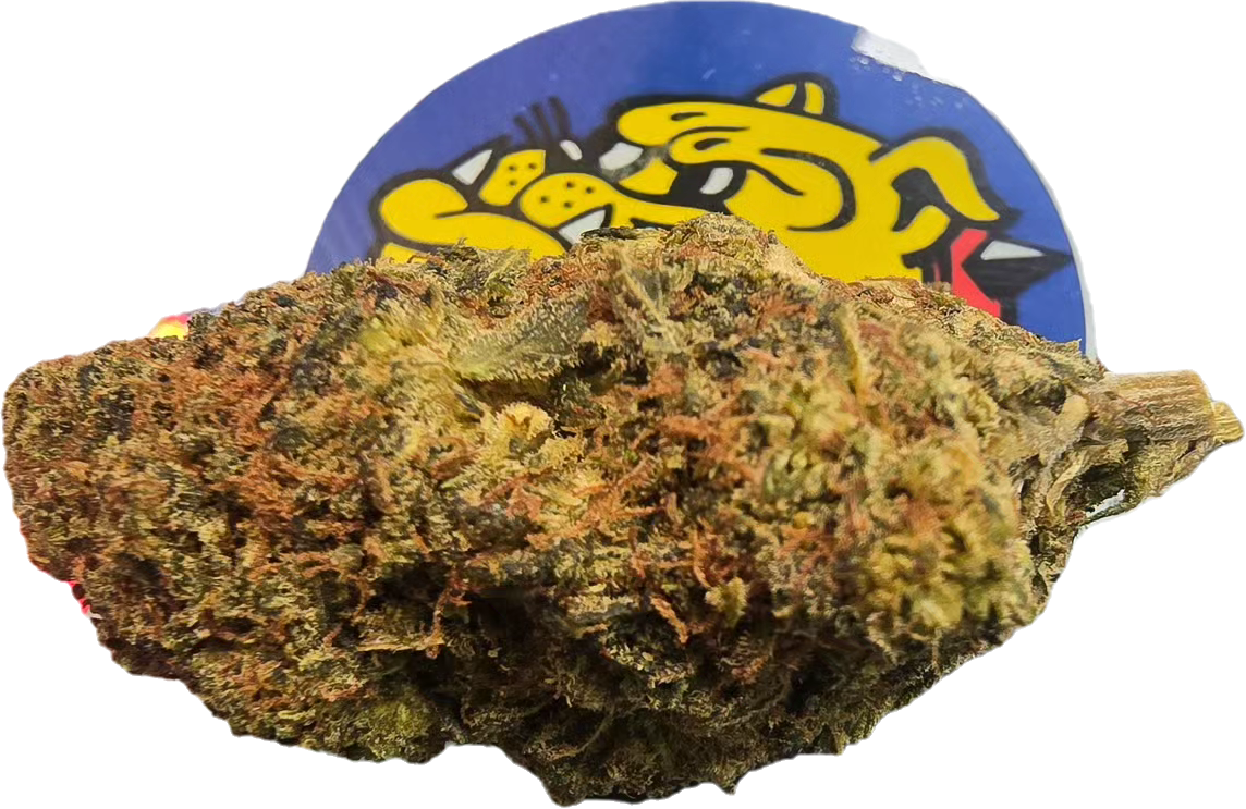 Fleur CBD Hazeinberg - vue en boutique