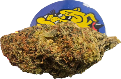 Fleur CBD Hazeinberg - vue en boutique