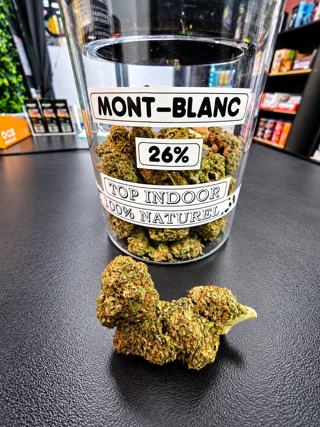 Mont-Blanc Top Indoor