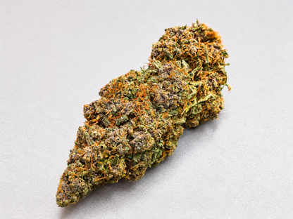 Fleur CBD Blue Meringue Big Bud